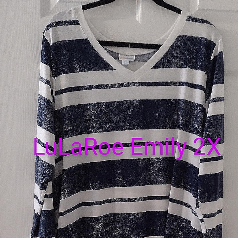 LuLaRoe Emily swing dress 2X